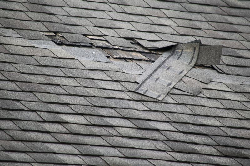 Slate Shingles Repair